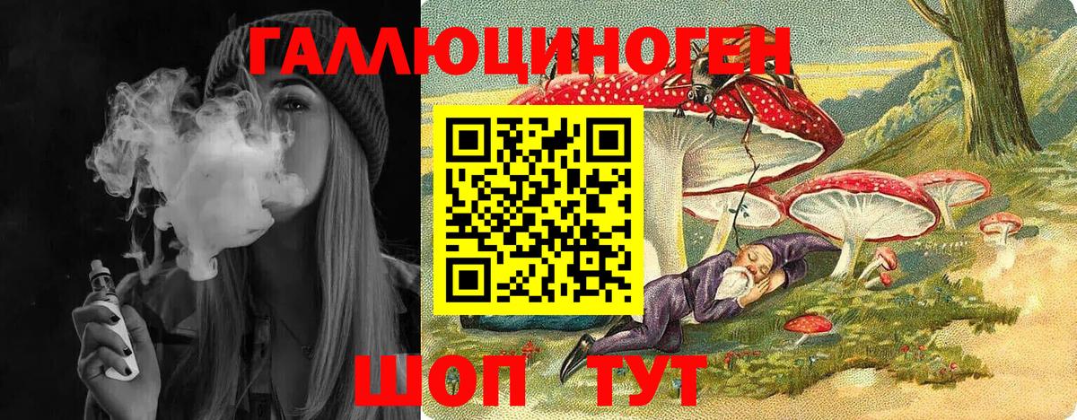 Псилоцибиновые грибы Psilocybine cubensis Коркино